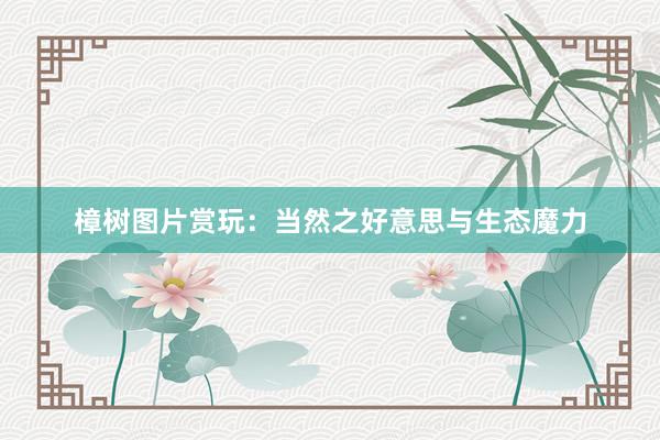 樟树图片赏玩：当然之好意思与生态魔力
