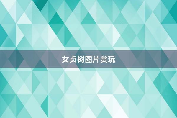 女贞树图片赏玩