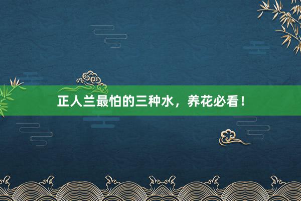 正人兰最怕的三种水，养花必看！