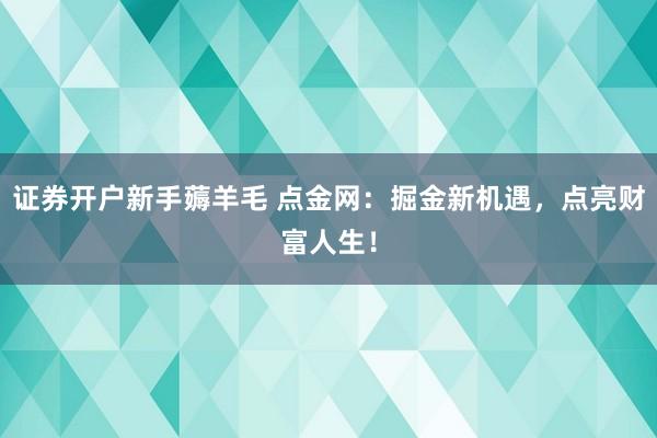 证券开户新手薅羊毛 点金网：掘金新机遇，点亮财富人生！