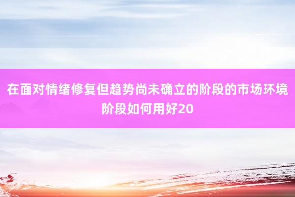 在面对情绪修复但趋势尚未确立的阶段的市场环境阶段如何用好20