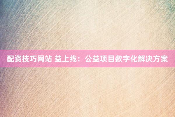 配资技巧网站 益上线：公益项目数字化解决方案