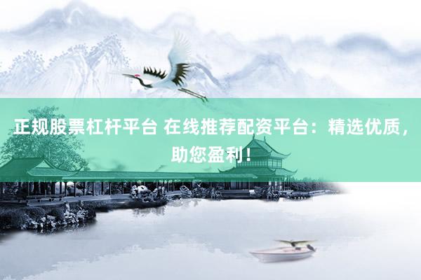 正规股票杠杆平台 在线推荐配资平台：精选优质，助您盈利！