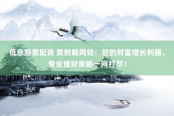低息股票配资 聚财略网站：您的财富增长利器，专业理财策略一网打尽！